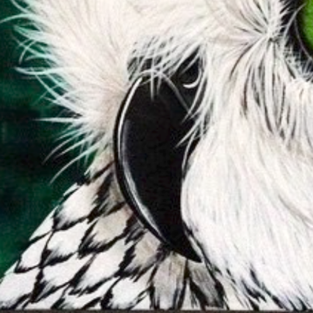 The "Snow Owl" Print