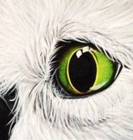 The "Snow Owl" Print